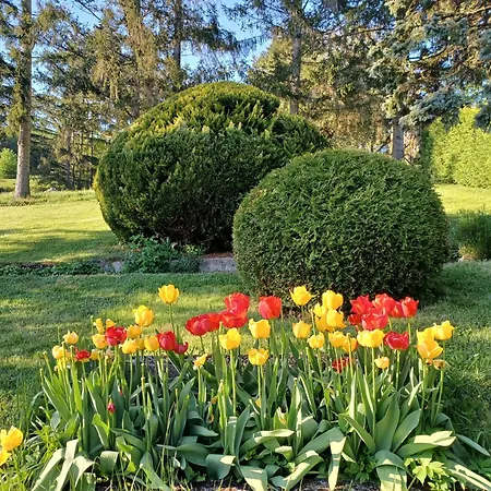 Wanderparadies Vasdobra