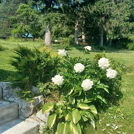 Apartman Wanderparadies *