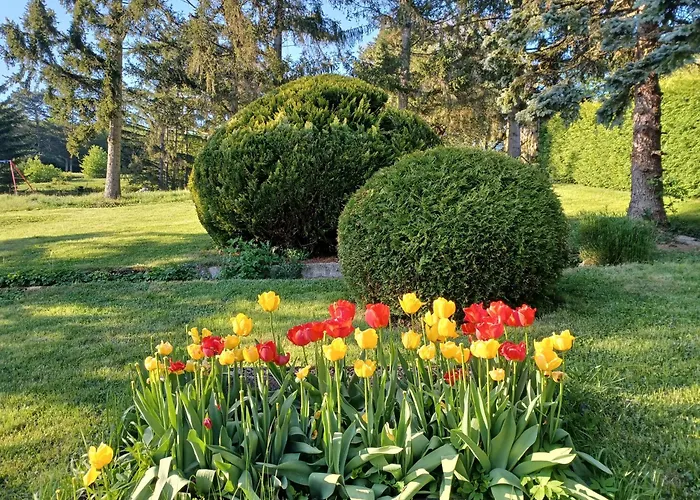 Wanderparadies Neuhaus (Baden)