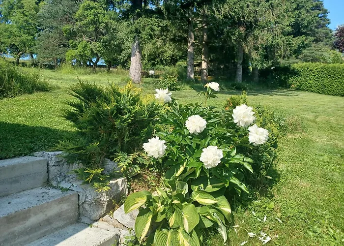 Apartman Wanderparadies *